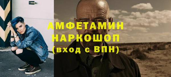 индика Гусев