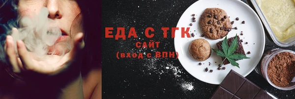 индика Гусев