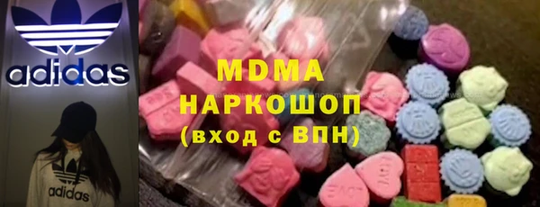 индика Гусев