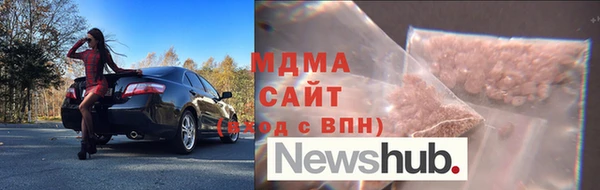 индика Гусев