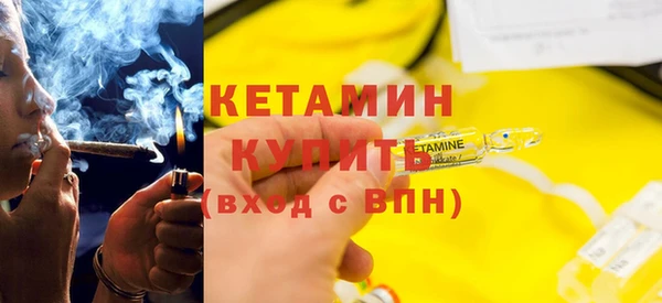 индика Гусев