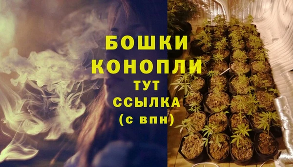 гашик Гусь-Хрустальный