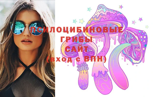 индика Гусев