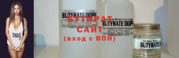 индика Гусев