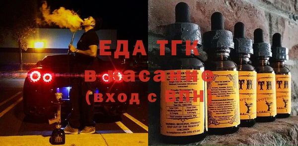 гашик Гусь-Хрустальный