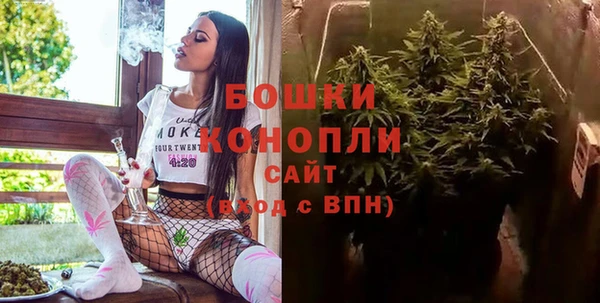 гашик Гусь-Хрустальный