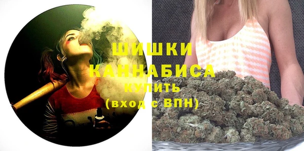 гашик Гусь-Хрустальный