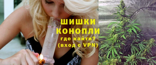 гашик Гусь-Хрустальный