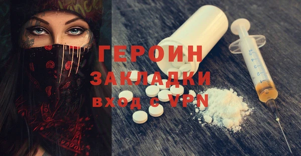 индика Гусев