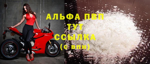 индика Гусев