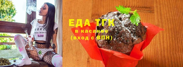 индика Гусев