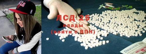 индика Гусев