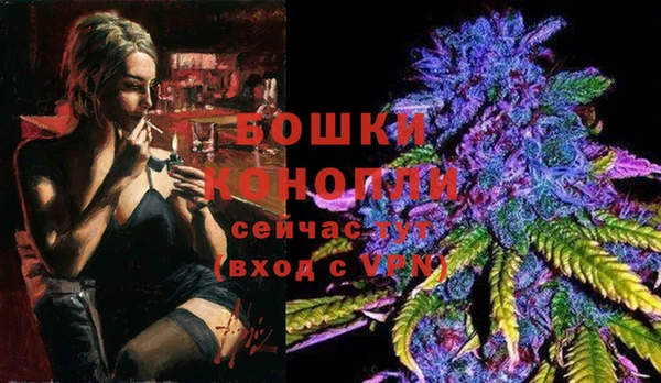 индика Гусев