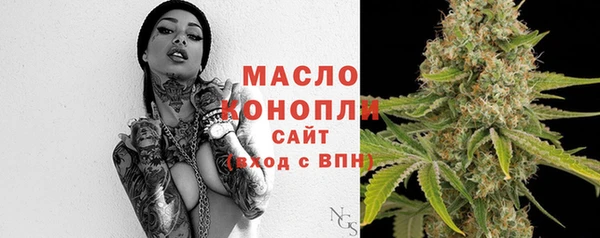 индика Гусев