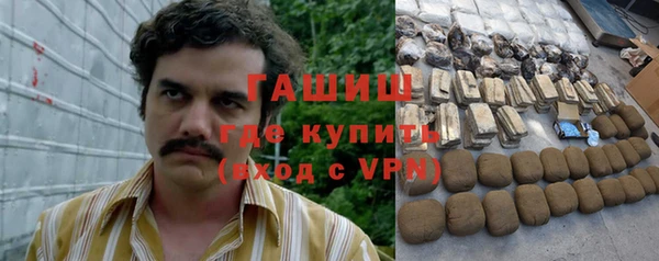 гашик Гусь-Хрустальный