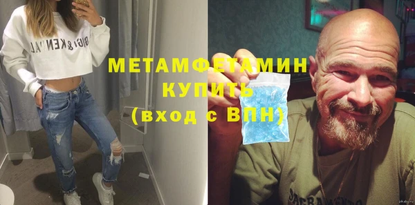 индика Гусев