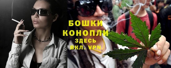 гашик Гусь-Хрустальный
