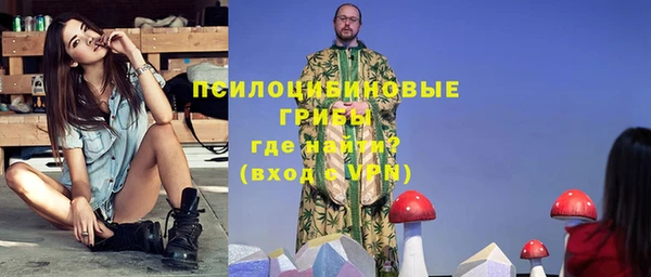 индика Гусев