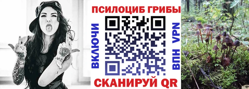 Галлюциногенные грибы MAGIC MUSHROOMS  Воткинск 