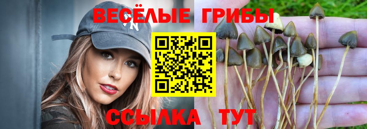 Псилоцибиновые грибы мицелий  Вход с VPN  Воткинск 